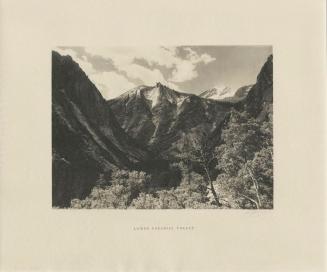 Lower Paradise Valley, Southern Sierra from the portfolio Parmelian Prints of the High Sierras