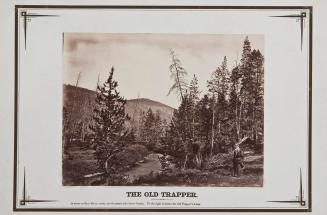 The Old Trapper