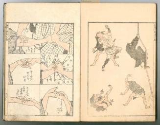 (Denshin kaishu) Hokusai manga [(Transmitting the Spirit, Revealing the Form of Things) Hokusai Sketchbook], Vol. 6