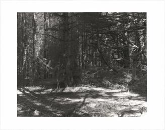 25. Cape Blanco State Park, Curry County, Oregon. From Turning Back, A Photographic Journal of Re-exploration