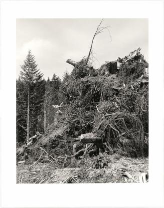 57. Clatsop County, Oregon. Jellied gasoline (napalm) is sometimes used to speed the burning of waste. From Turning Back, A Photographic Journal of Re-exploration