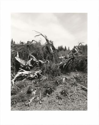 58. Clatsop County, Oregon. Jellied gasoline (napalm) is sometimes used to speed the burning of waste. From Turning Back, A Photographic Journal of Re-exploration