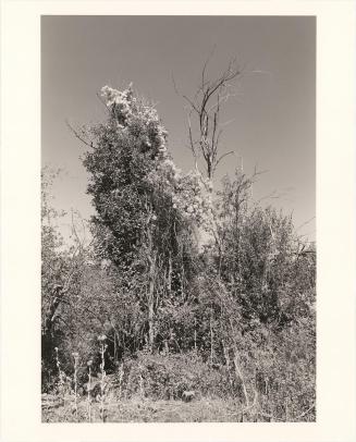 153. Near Halfway, Baker County, Oregon. From Turning Back, A Photographic Journal of Re-exploration