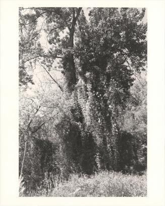 154. Near Halfway, Baker County, Oregon. From Turning Back, A Photographic Journal of Re-exploration