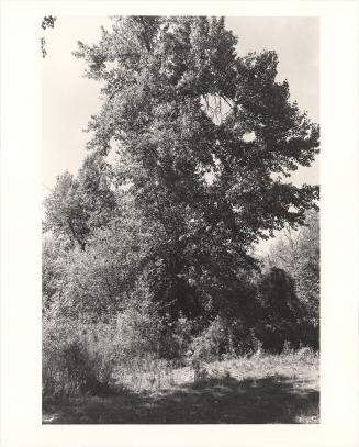156. Near Halfway, Baker County, Oregon. From Turning Back, A Photographic Journal of Re-exploration