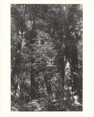 157. Near Halfway, Baker County, Oregon. From Turning Back, A Photographic Journal of Re-exploration