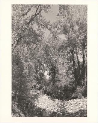 158. Near Halfway, Baker County, Oregon. From Turning Back, A Photographic Journal of Re-exploration