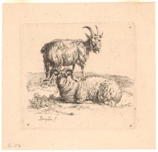 Ram and Goat from Animalia